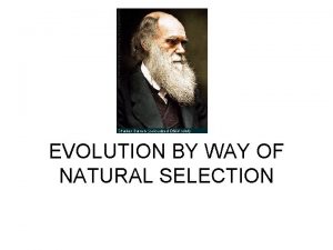Natural selection vocabulary