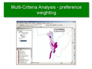 MultiCriteria Analysis preference weighting Defining weights for criteria