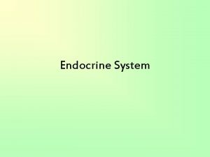 Endocrine System Collection of small glands and organs