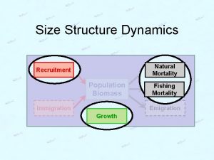 Size Structure Dynamics Natural Mortality Recruitment Population Biomass