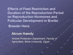Effects of Feed Restriction and Duration of the