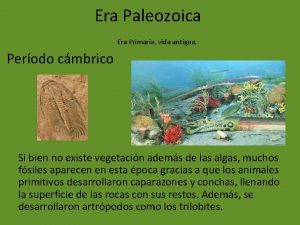 Era primaria