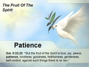 The Fruit Of The Spirit Patience Gal 5