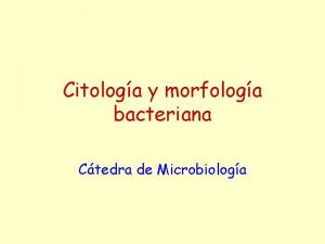 Citologa y morfologa bacteriana Ctedra de Microbiologa Bibliografa