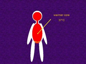 warmer core 37 o C central thermoreceptors hypotalamus