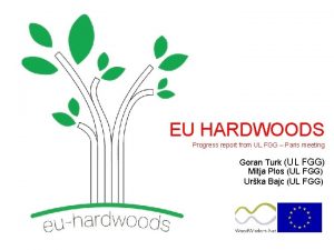 EU HARDWOODS Progress report from UL FGG Paris