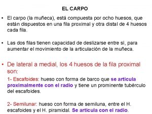 Huesos de carpo