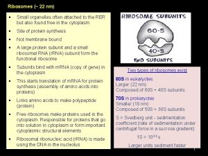 Ribosomes 22 nm Small organelles often attached to