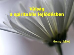 Vlsg a spiritulis fejldsben Homa Ildik Szemlyes llspont