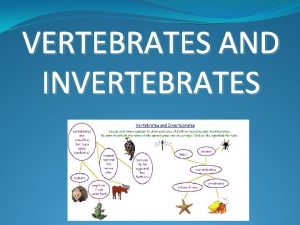 Vertebrates are classified as