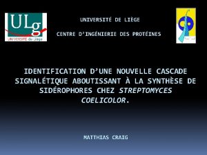 UNIVERSIT DE LIGE CENTRE DINGNIERIE DES PROTINES IDENTIFICATION