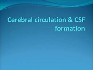 Cerebral circulation CSF formation Normally within the brain