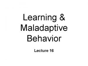 Learning Maladaptive Behavior Lecture 16 Maladaptive Behavior Detrimental