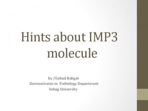 Hints about IMP 3 molecule by Gehad Bahgat