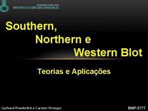 Southern Northern e Western Blot Teorias e Aplicaes