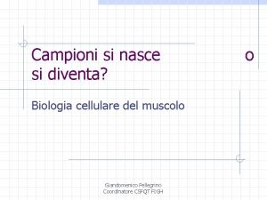 Campioni si nasce o si diventa
