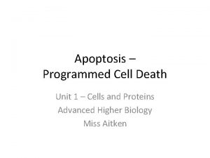 Apoptosis Programmed Cell Death Unit 1 Cells and