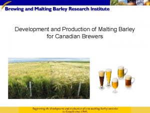 Development and Production of Malting Barley for Canadian