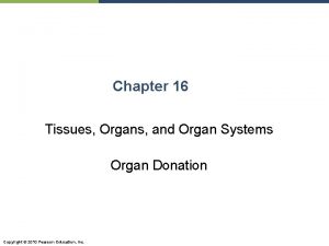 Chapter 16 Tissues Organs and Organ Systems Organ