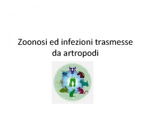 Zoonosi ed infezioni trasmesse da artropodi Zoonosi Le