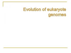 Evolution of eukaryote genomes Eukaryotic Genomes Bacteria have