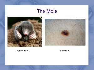 The Mole Not this kind Or this kind