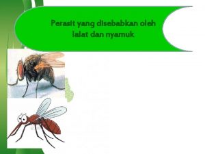 Rumen Microbiology Perasit yang disebabkan oleh lalat dan