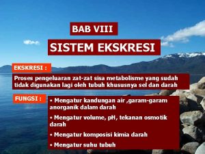 BAB VIII SISTEM EKSKRESI Proses pengeluaran zatzat sisa