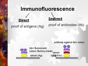 Immunofluorescence Indirect Direct proof of antigens Ag proof Immunofluorescence Indirect Direct proof of antigens Ag proof