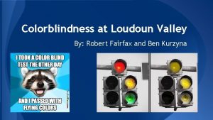 Colorblindness at Loudoun Valley By Robert Fairfax and