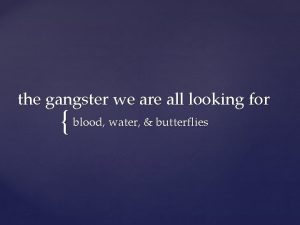 The gangster we are all looking for