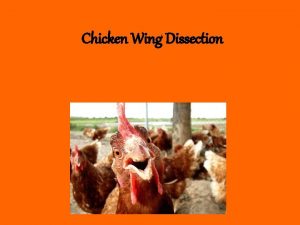 Chicken wing dissection lab answers