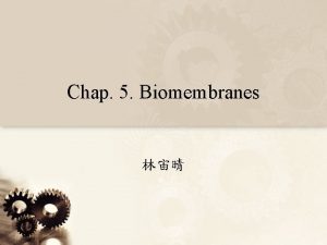 Chap 5 Biomembranes Composition of Biomembranes Amphiphile Mesogenes