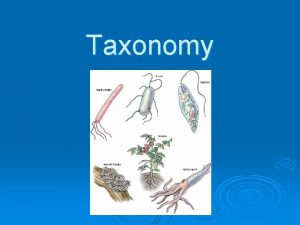 Taxonomy Classification Classification the grouping of objects or