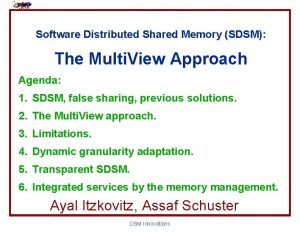 Software Distributed Shared Memory SDSM The Multi View