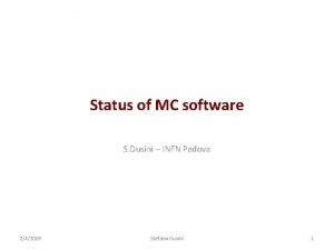 Status of MC software S Dusini INFN Padova