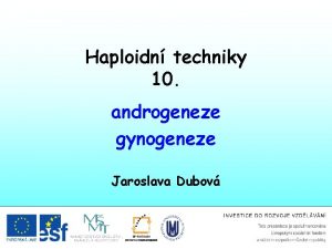 Haploidn techniky 10 androgeneze gynogeneze Jaroslava Dubov Haploidn