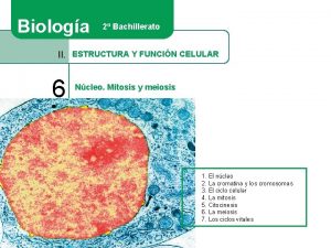 Biologa 2 Bachillerato II ESTRUCTURA Y FUNCIN CELULAR