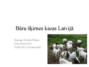 Bru irnes kazas Latvij Mag agr Kristne Piliena