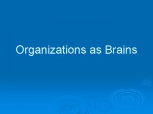 Organizations as brains