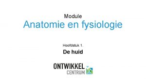 Module Anatomie en fysiologie Hoofdstuk 1 De huid