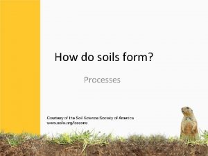 How do soils form Processes 4 basic processes
