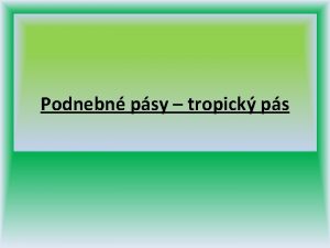 Podnebn psy tropick ps ZPRACOVAL Mgr Alena Jakubcov