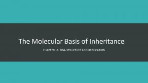 The Molecular Basis of Inheritance CHAPTER 16 DNA