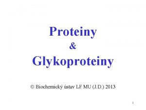 Proteiny Glykoproteiny Biochemick stav LF MU J D