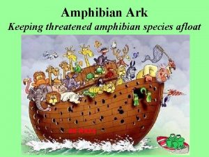 Amphibian Ark Keeping threatened amphibian species afloat Are