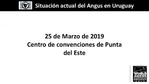 Situacin actual del Angus en Uruguay 25 de