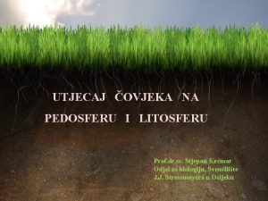 UTJECAJ OVJEKA NA PEDOSFERU I LITOSFERU Prof dr