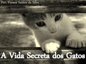 Por Vanesa Santos da Silva A Vida Secreta