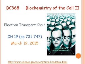 BC 368 Biochemistry of the Cell II Electron